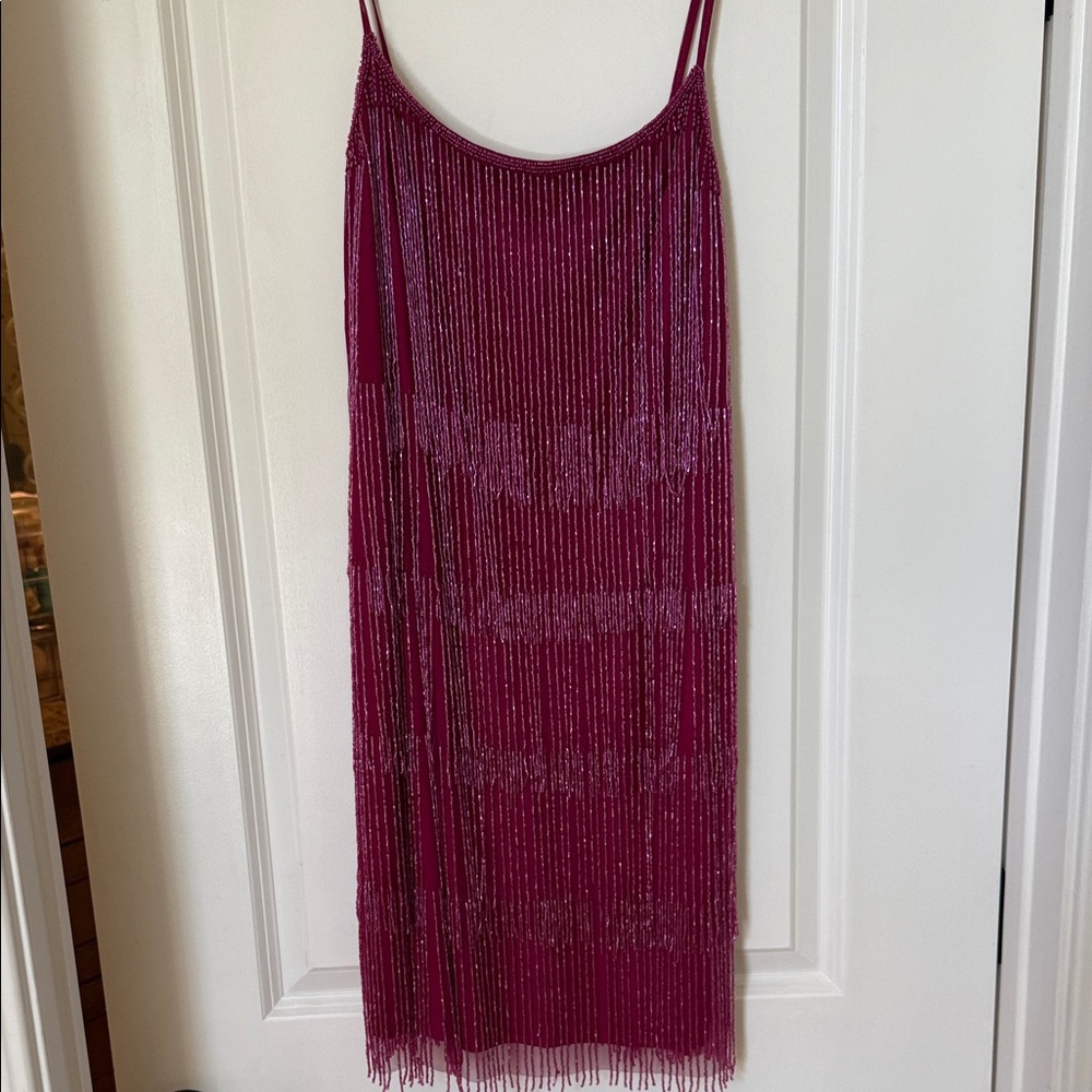 Adrianna Pappell Pink Fringe Dress